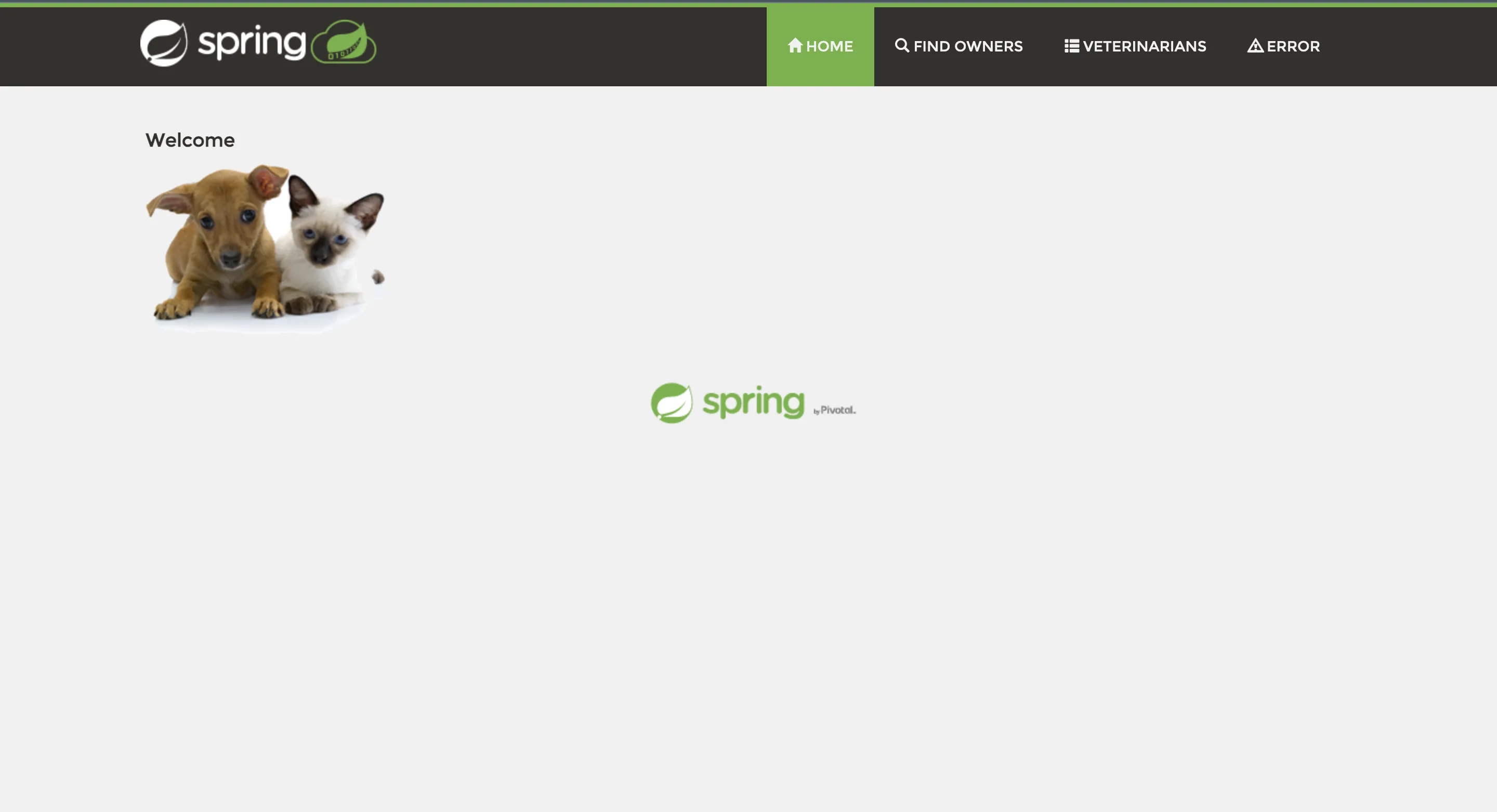 Spring PetClinic app accessed at port:8090